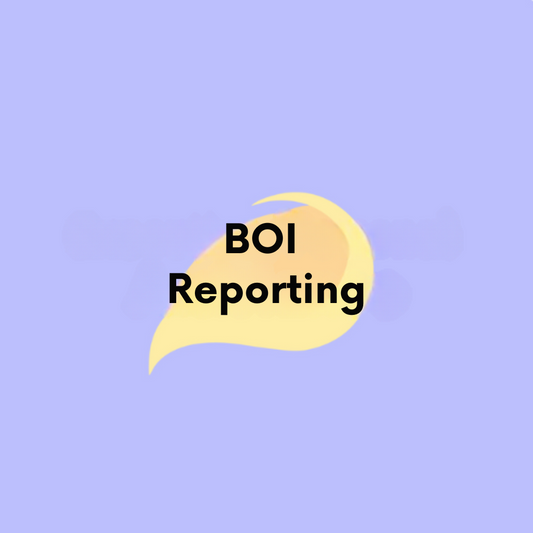 BOI Report Filing Service